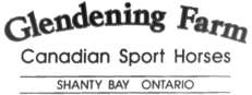 Glendening Canadian Sport Horses - Competition